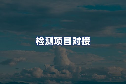 检测项目对接